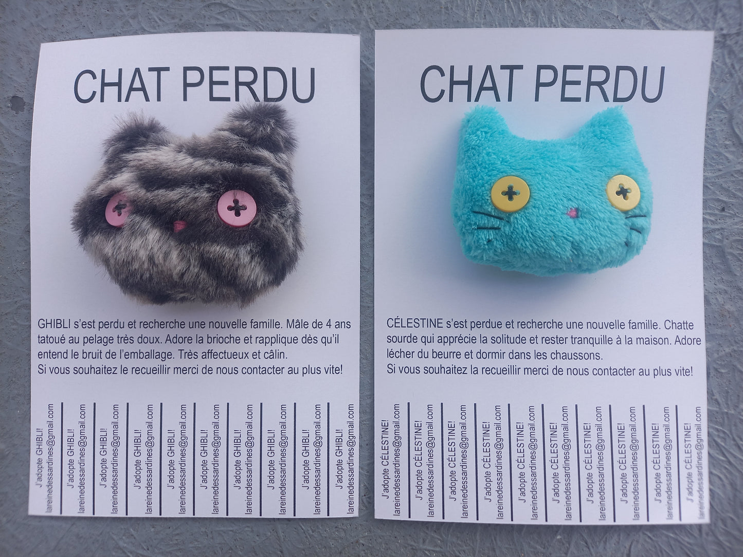 Chats perdus
