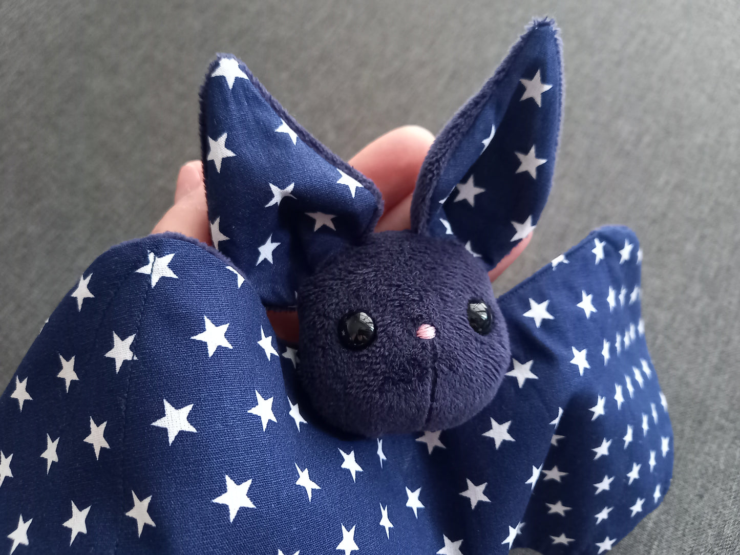 Chauve-souris
