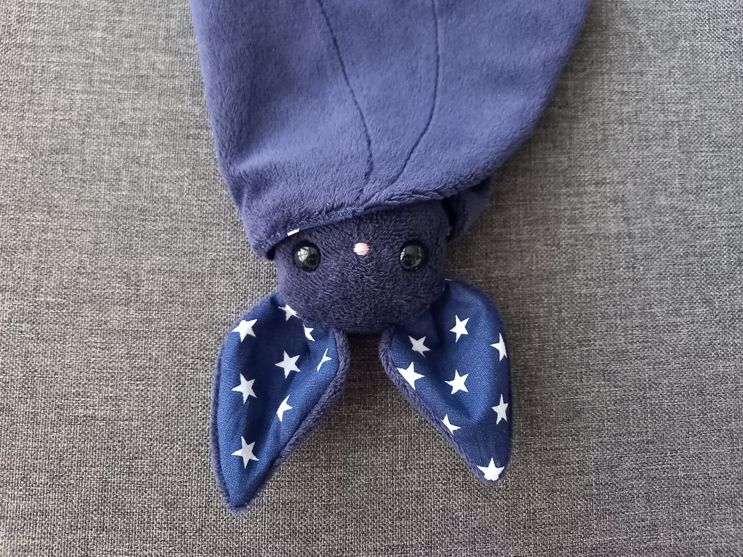 Chauve-souris