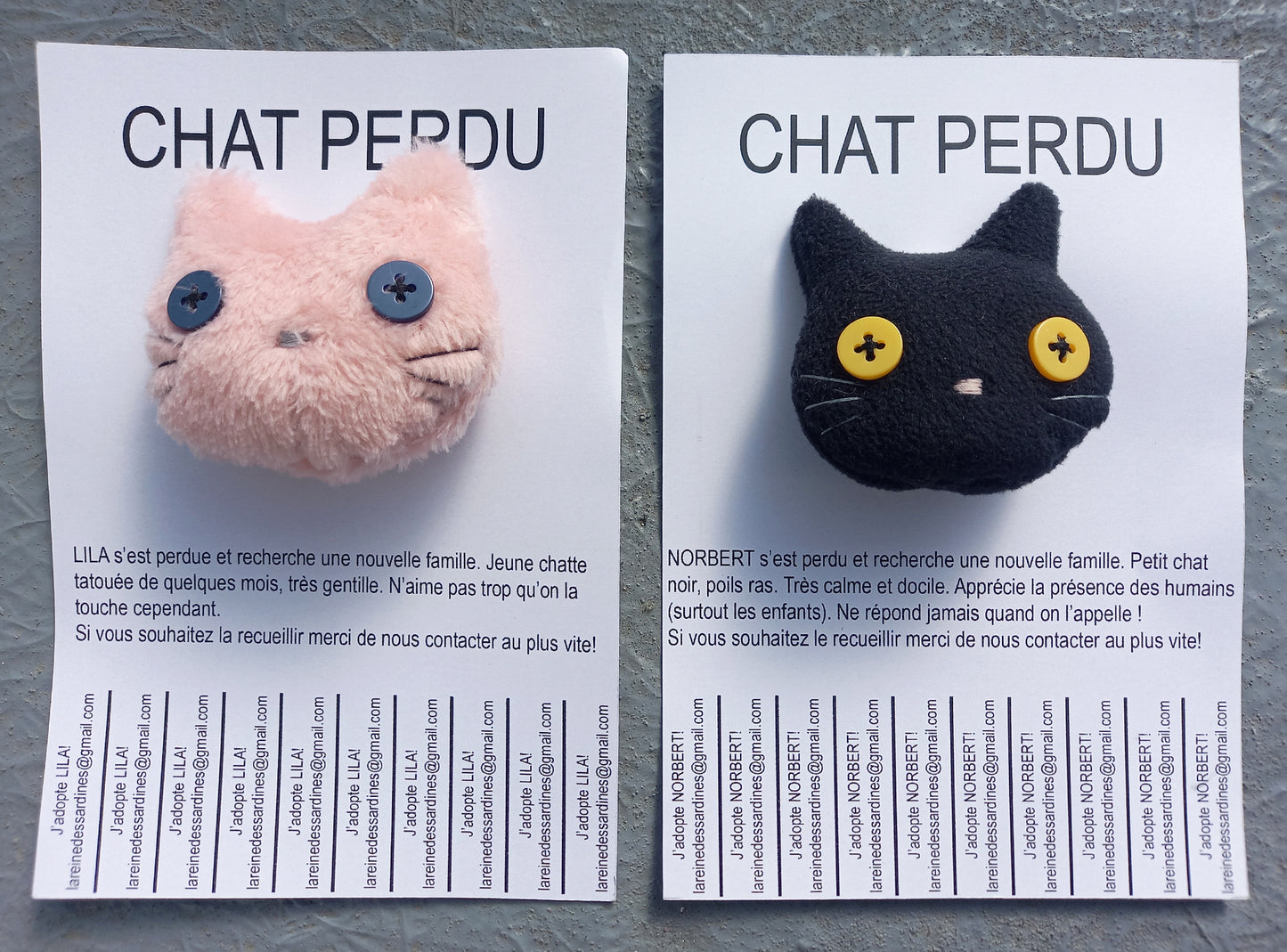 Chats perdus