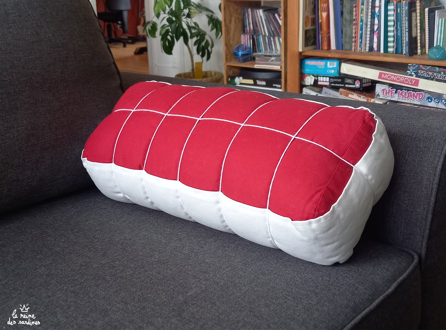 Coussin rosbif