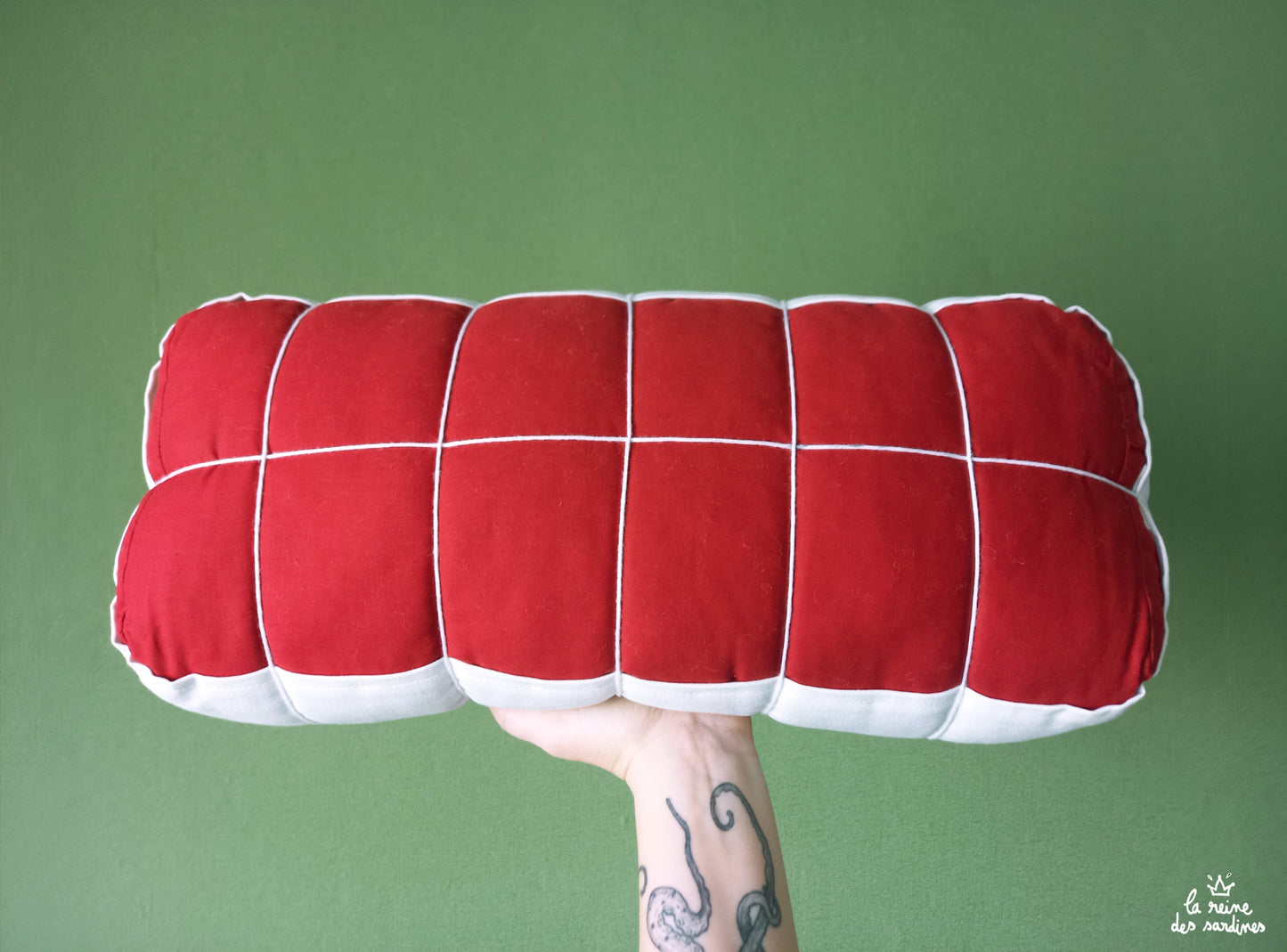 Coussin rosbif
