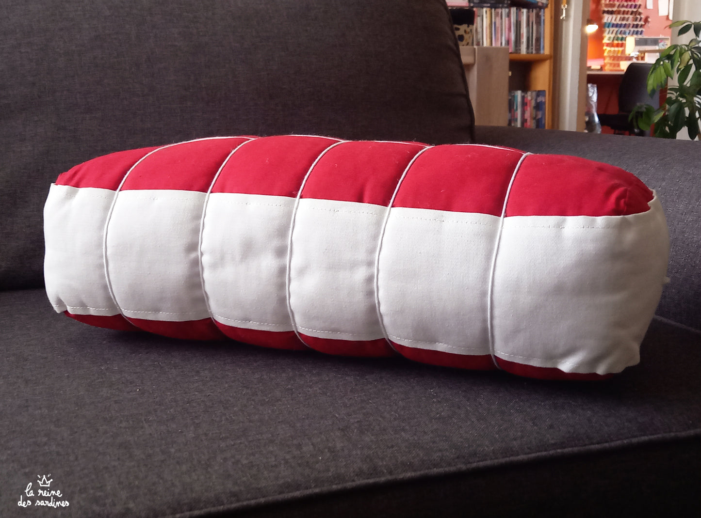 Coussin rosbif