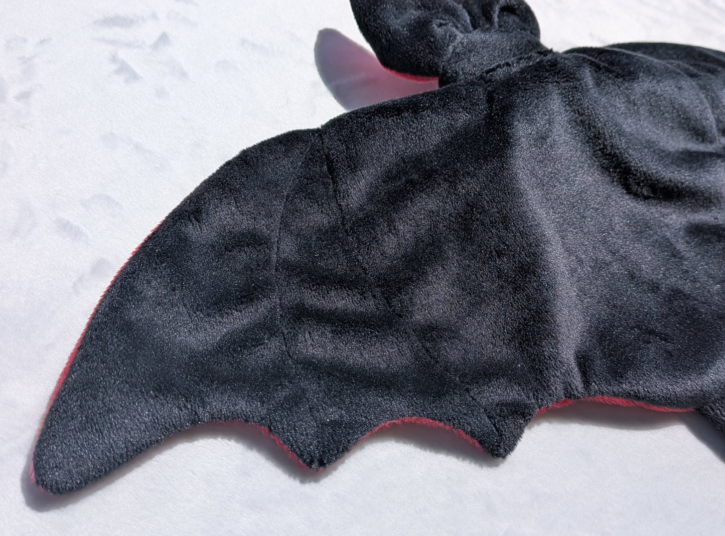 Chauve-souris
