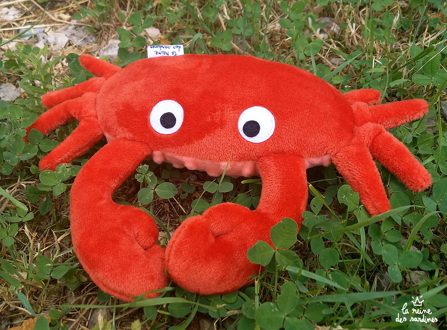 Le Crabe