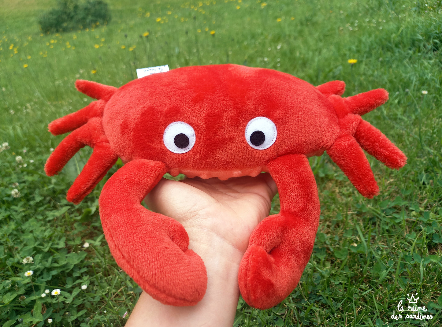 Le Crabe