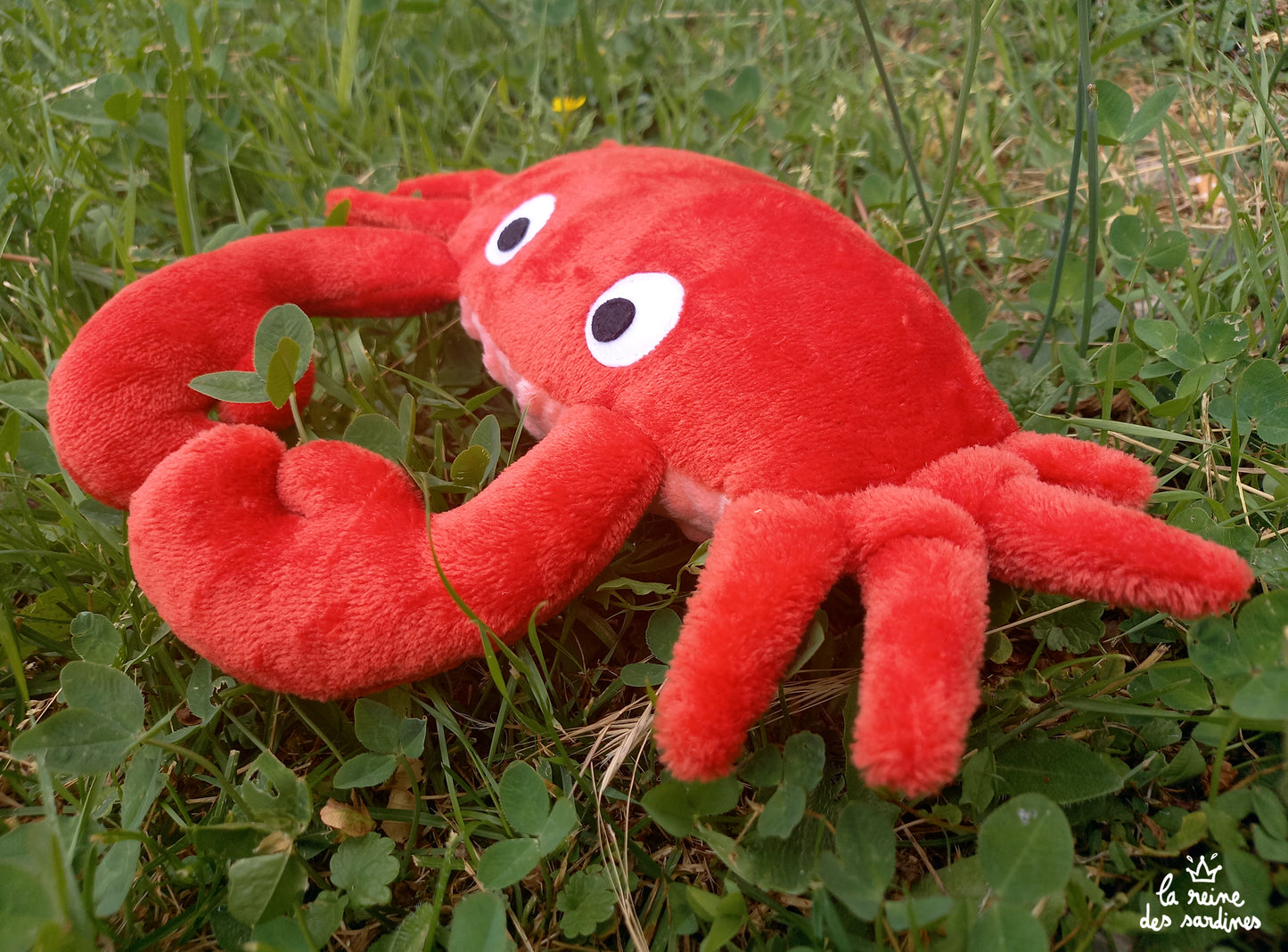 Le Crabe