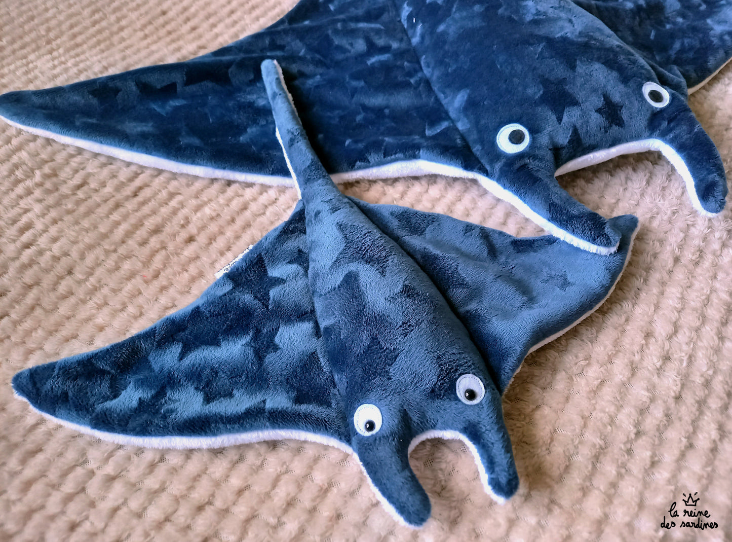 Raie Manta
