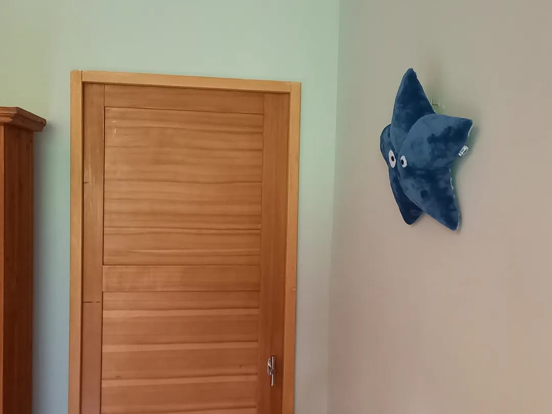 Étoile de mer