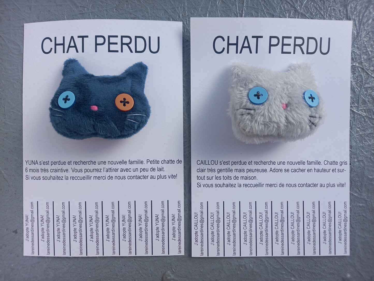 Chats perdus