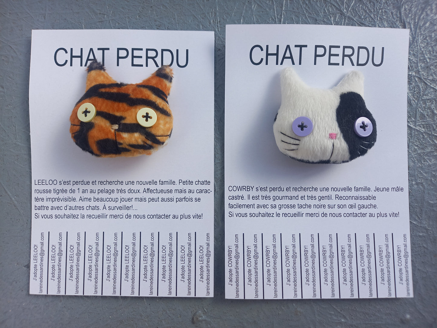 Chats perdus