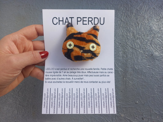 Chats perdus