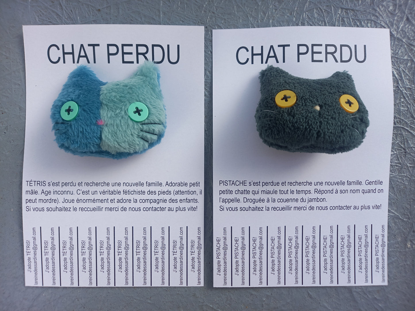 Chats perdus