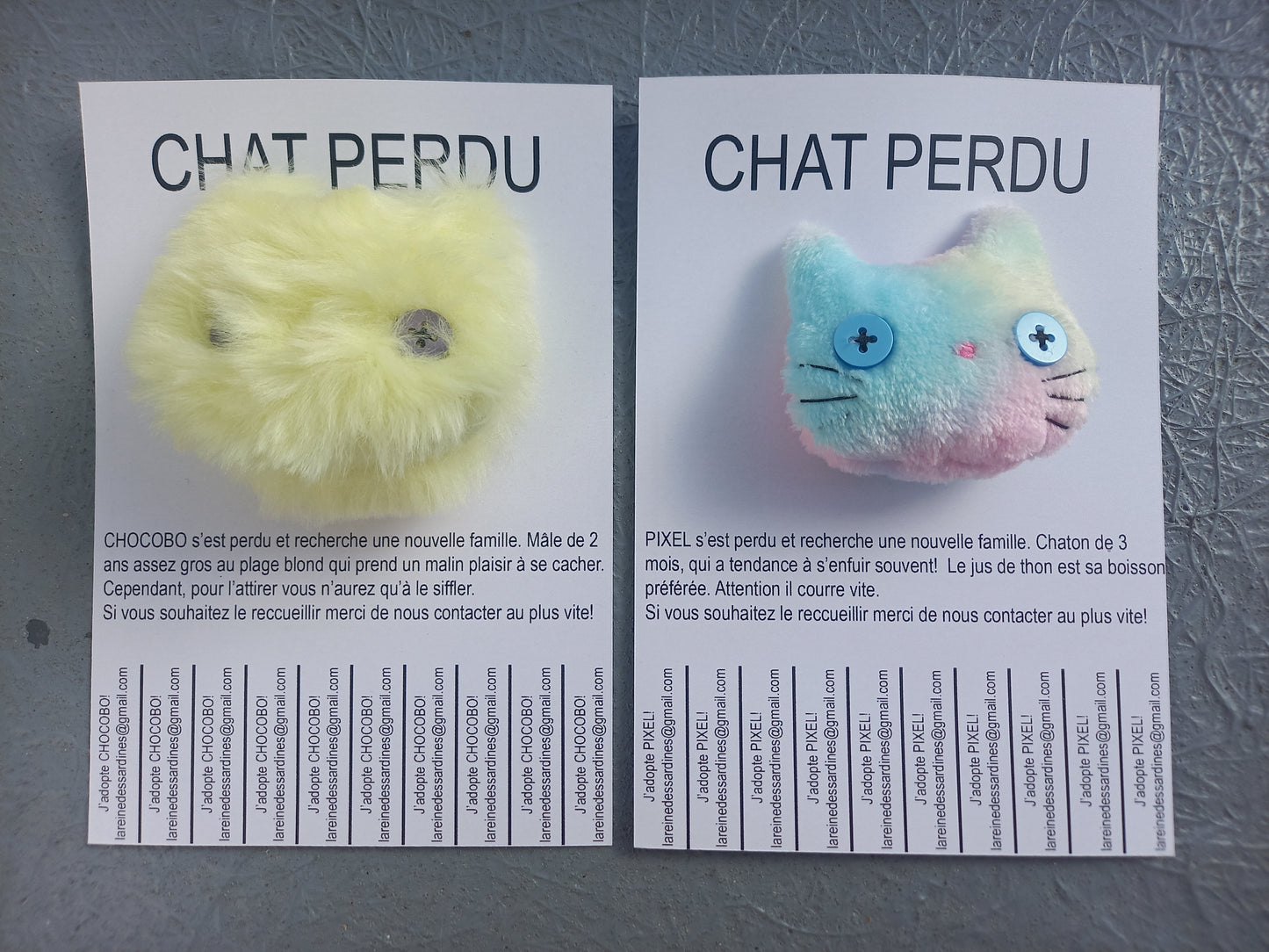 Chats perdus