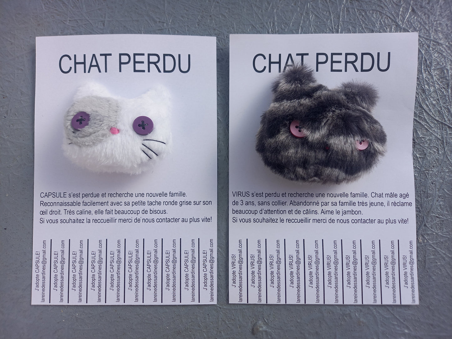 Chats perdus