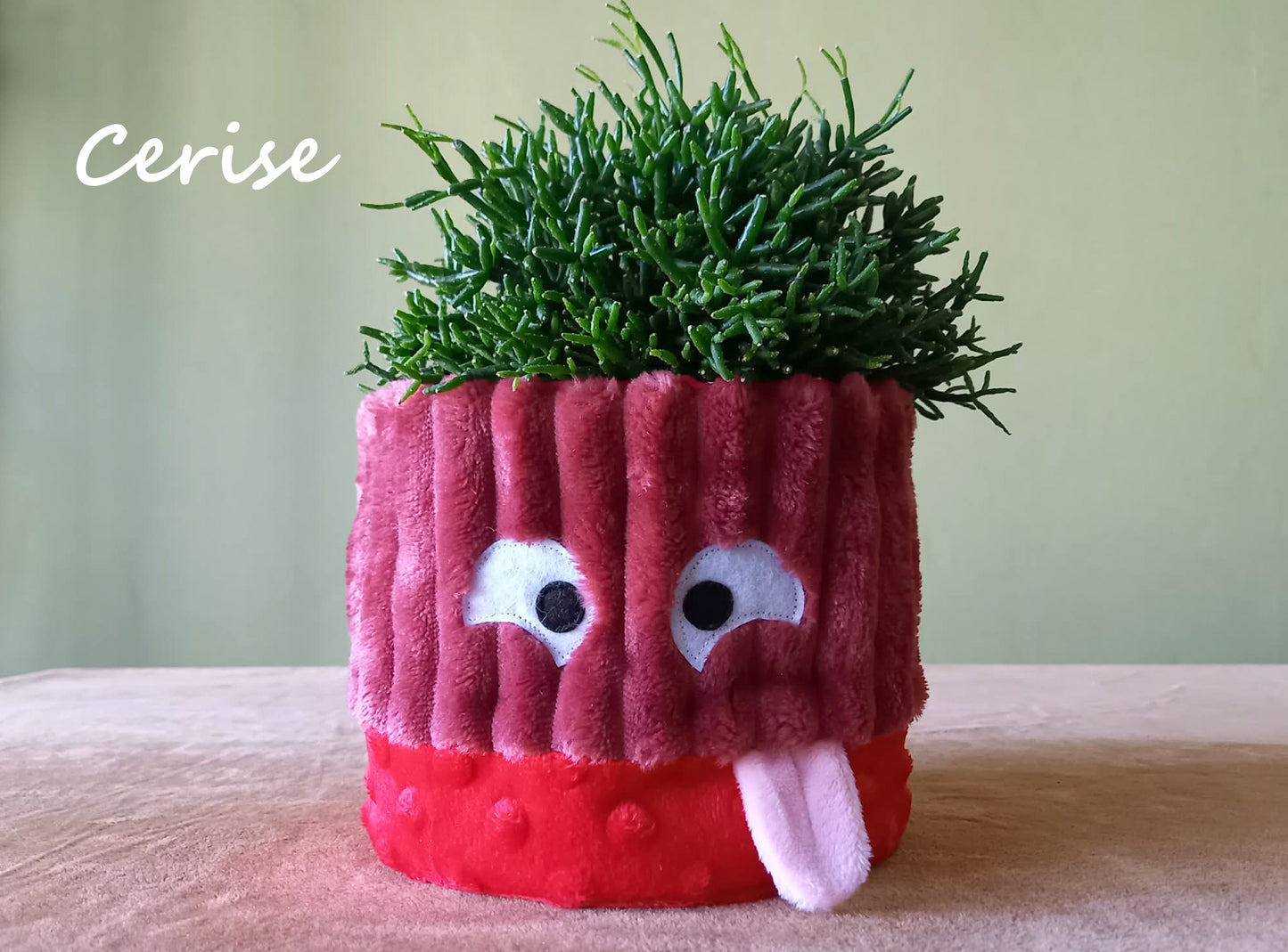 Cache-pot (moyen)