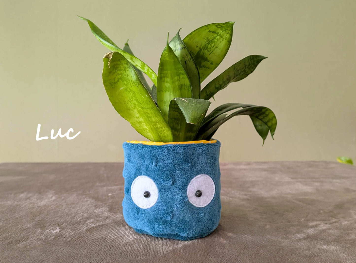 Cache-pot (mini)