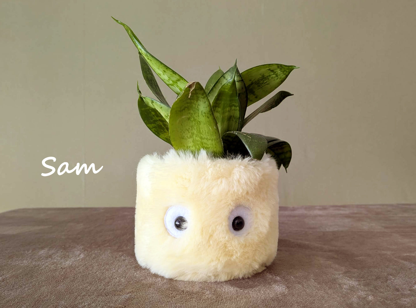 Cache-pot (mini)