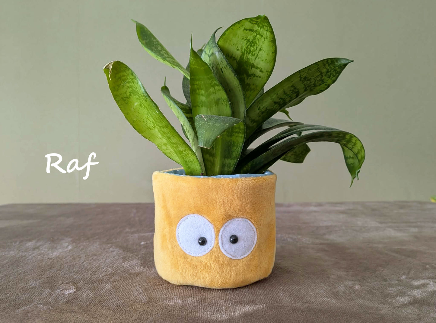 Cache-pot (mini)