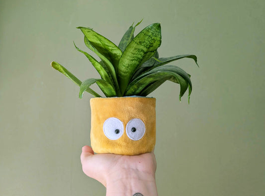 Cache-pot (mini)