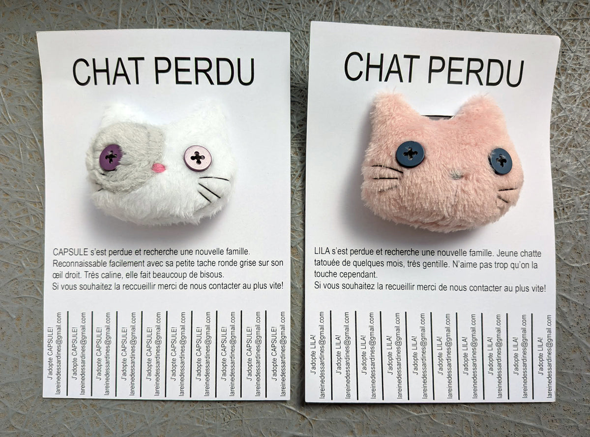 Chats perdus