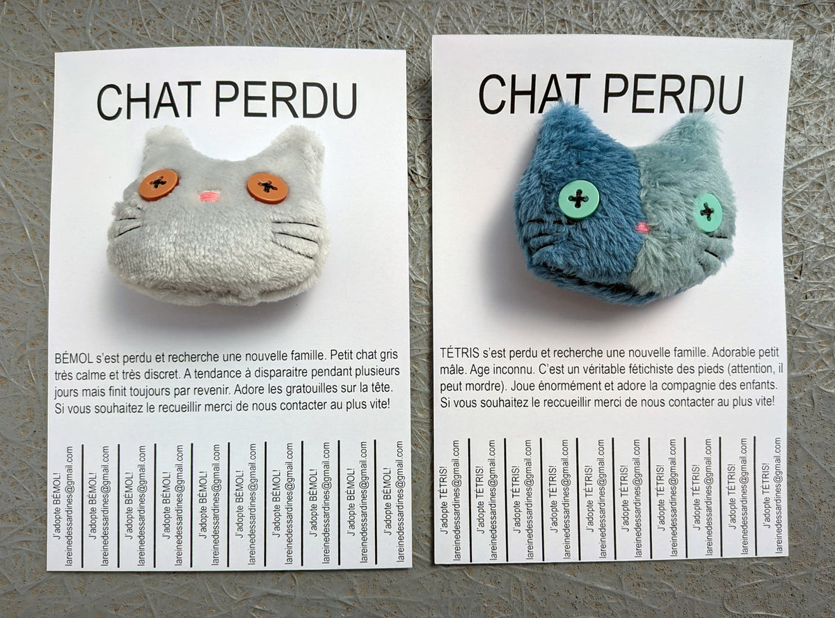 Chats perdus