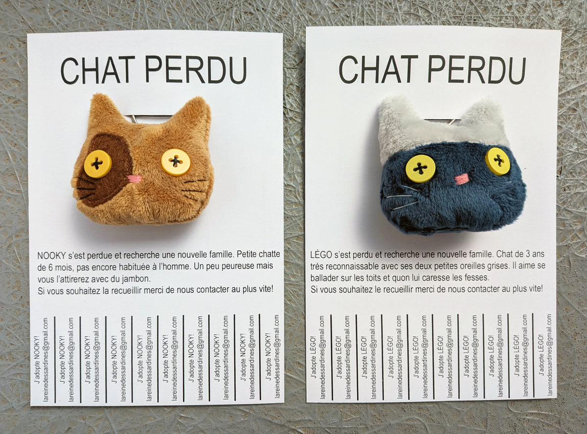 Chats perdus