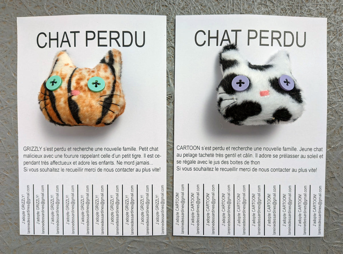 Chats perdus