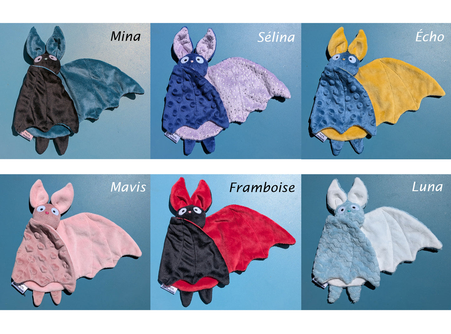 Chauve-souris